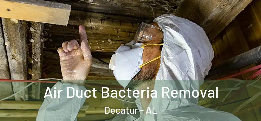 Air Duct Bacteria Removal Decatur - AL