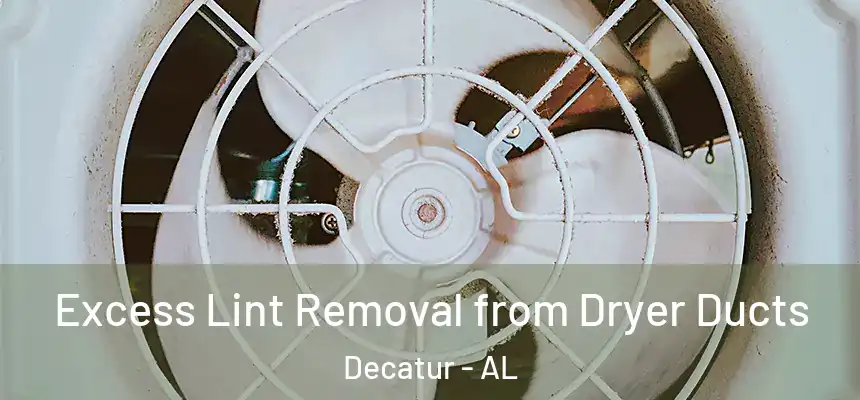Excess Lint Removal from Dryer Ducts Decatur - AL