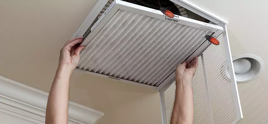 Preventive Cockroach-Proofing for Ducts in Decatur
