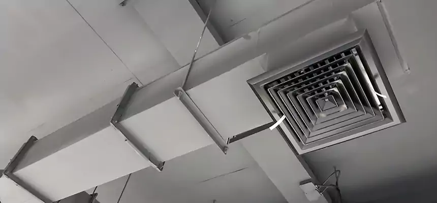 Our Rodent Droppings In Vents Services in Decatur, AL