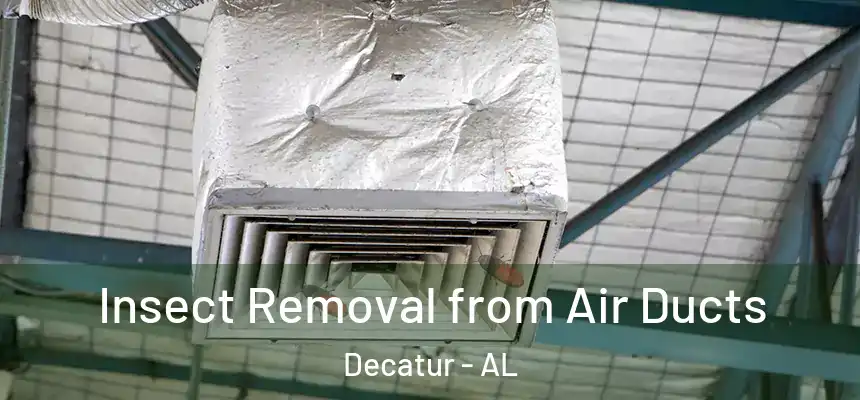  Insect Removal from Air Ducts Decatur - AL