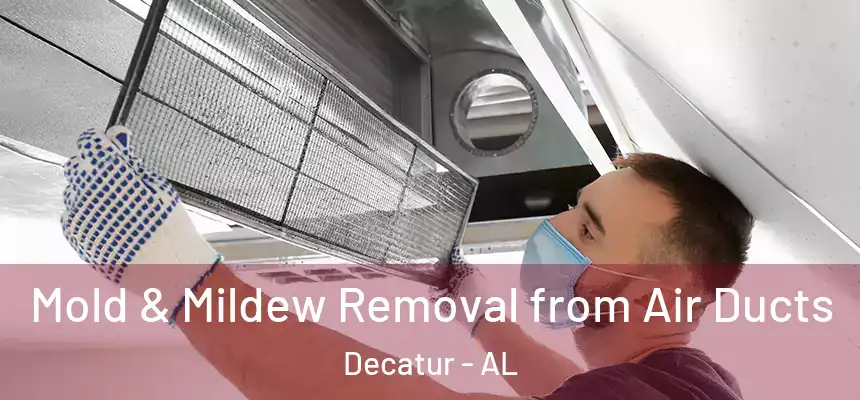 Mold & Mildew Removal from Air Ducts Decatur - AL