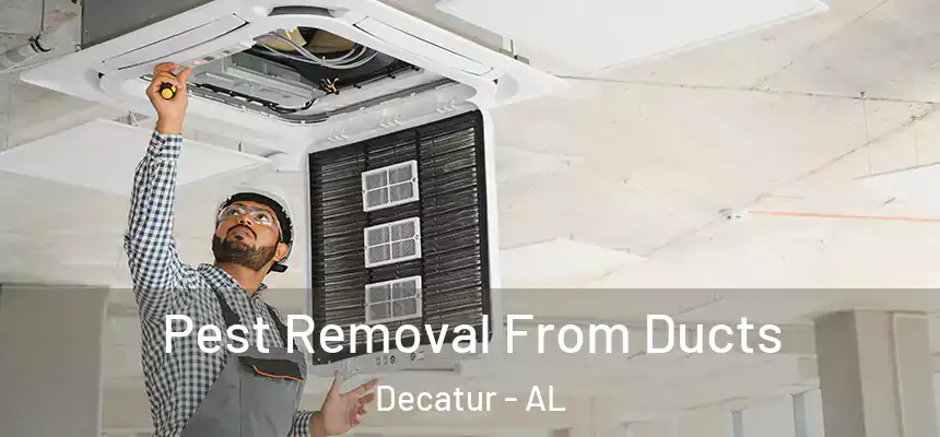  Pest Removal From Ducts Decatur - AL