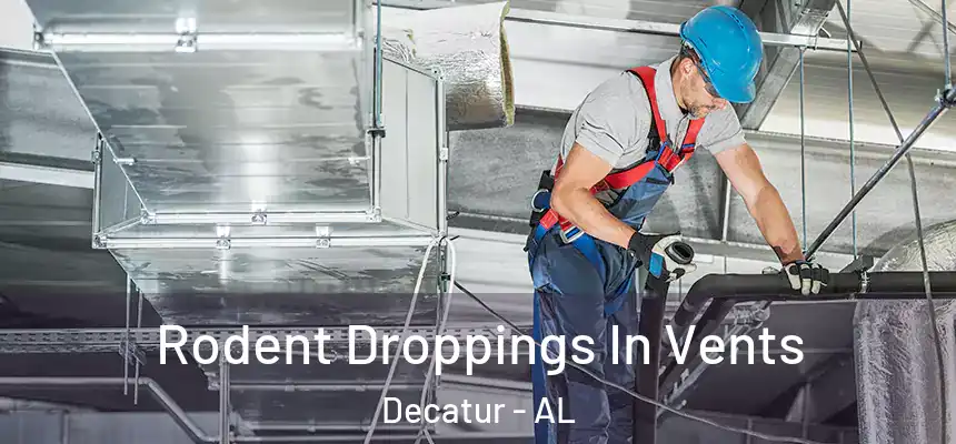 Rodent Droppings In Vents Decatur - AL