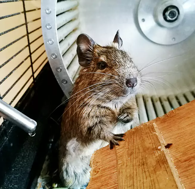 Why Homeowners & Businesses Trust Us Decatur, AL