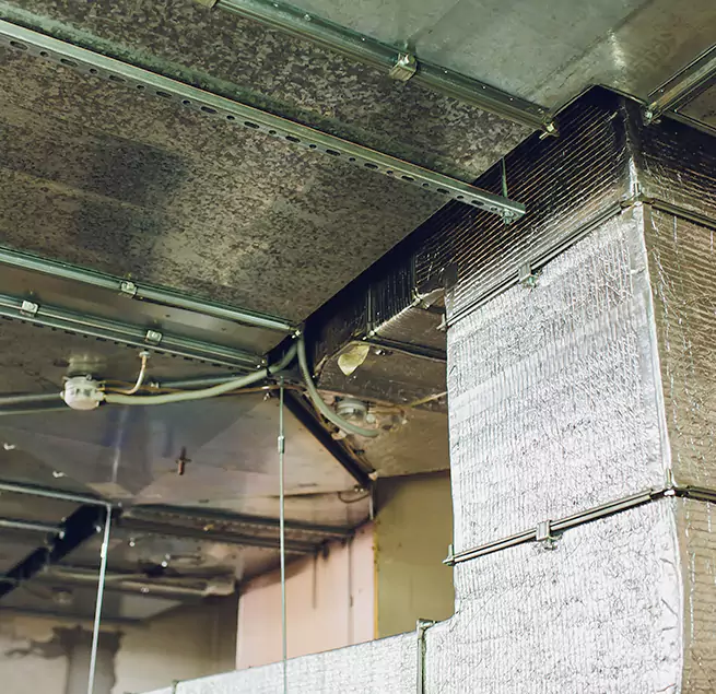 Why Homeowners & Businesses Trust Us in Decatur, AL?